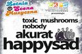 Letnia Scena Muzyczna 2015: Toxic Mushrooms, Nobody, Akurat, Happysad